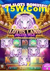 Casino Ao Vivo 84y